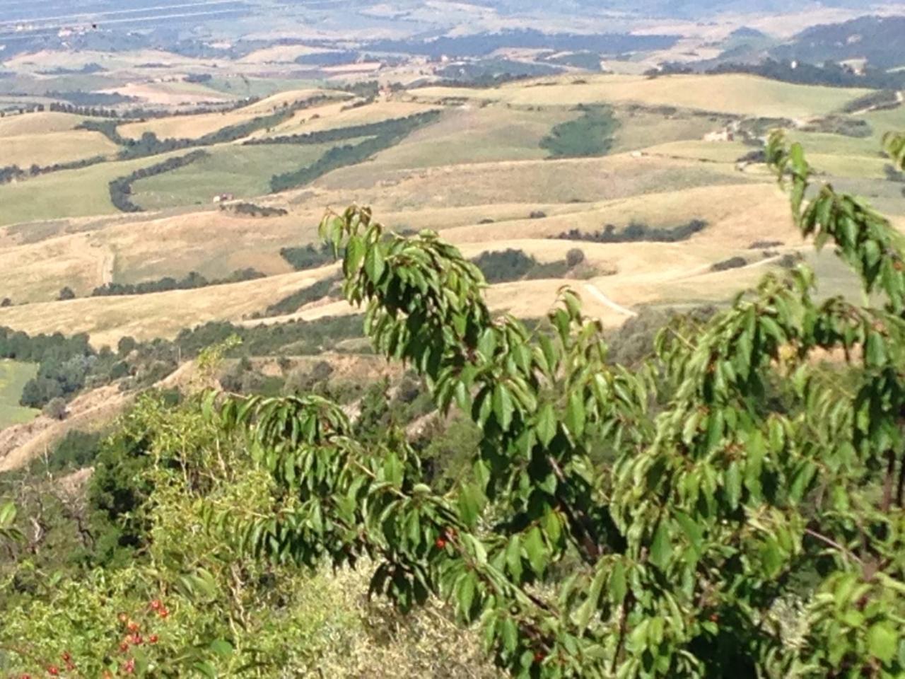 Podere Le Monache Montaione Dış mekan fotoğraf